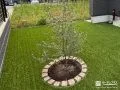 人工芝の中にピンコロ石の植栽スペースが映えるお庭づくり工事