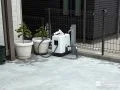 2口タイプの立水栓を設置しホースの常時接続を可能に