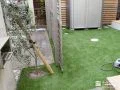 お庭の一画にオリーブを植樹