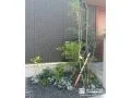 美しい緑をお楽しみいただける植栽スぺース