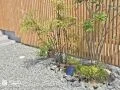 玄関を彩るナチュラルで重厚感のあるロックガーデン