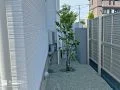 防草対策を施した犬走り