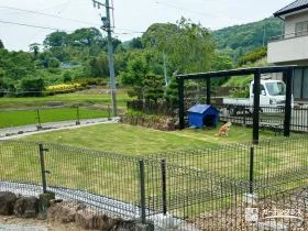 マルチルーフ付きで快適に過ごせる天然芝のドッグラン工事