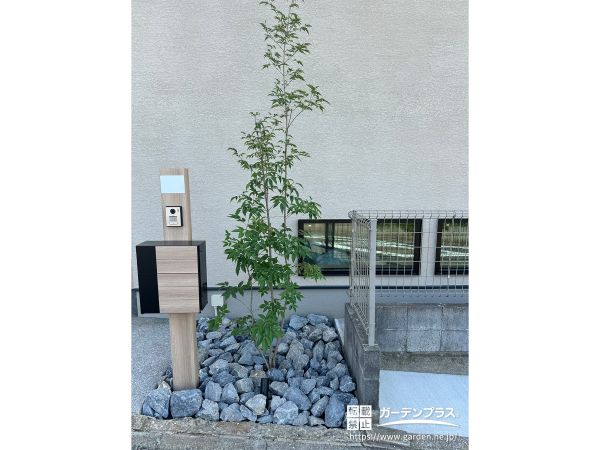 アオダモと割栗石を入れてナチュラルで美しく上品な外構工事