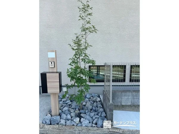 アオダモと割栗石を入れてナチュラルで美しく上品な外構工事