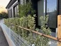 植栽の列植えで目隠ししながら彩りを添えたお庭のリフォーム工事