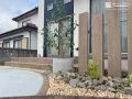 初心者でも比較的育てやすく、花の鑑賞価値が高いフェイジョア