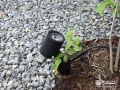 植栽の足元に設置したスパイクスポットライト