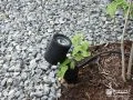植栽の足元に設置したスパイクスポットライト