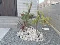 外構をグレードアップしてくれる植栽