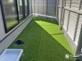 手入れが楽な人工芝の主庭