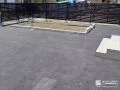 花壇と目隠しフェンスで整えたすっきり外構