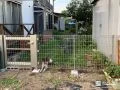 ワンちゃんの脱走を防止し暮らしを守る境界フェンスと門扉工事