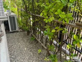 犬走りの雑草対策[施工後]