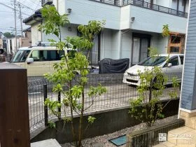 ソヨゴの植栽と駐輪スペースのスリットをレンガで整えた工事