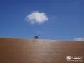 お庭の目隠しフェンスで羽を休めるトンボ