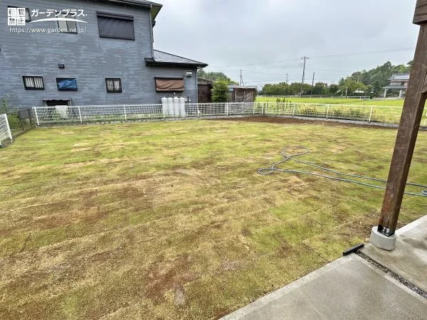 暮らしの中で自然を身近に感じられる天然芝の庭リフォーム工事