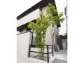 掃き出し窓をさりげなく目隠しする植栽