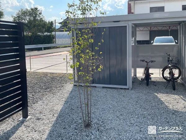 お庭に緑をプラス