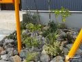 日々の暮らしに自然の彩りを添えるロックガーデン