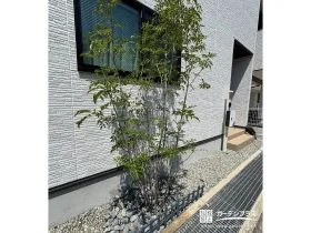 ナチュラルに緑を添える植栽[施工後]