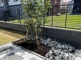 玄関横を彩る、シラカシの植栽スペース[施工後]