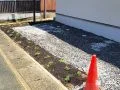 グランドカバーで駐車スペースを色鮮やかに