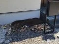 門周りを彩る植栽スペース