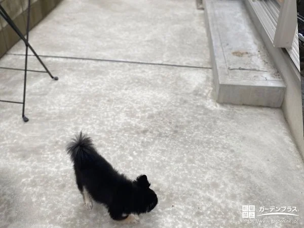 愛犬がのびのび過ごせる快適な土間コンクリートの打設工事