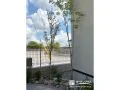 玄関周りの植栽スペース 玄関周りの植栽スペース