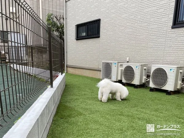 ワンちゃんの足に優しいフカフカの人工芝を敷設したお庭工事
