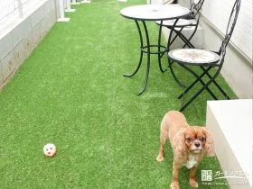 ペットのワンちゃんがのびのびと遊べるよう人工芝を敷設した工事