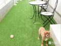 ペットのワンちゃんがのびのびと遊べるよう人工芝を敷設した工事