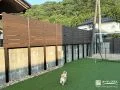 戸建ての庭で気兼ねなく愛犬と遊べるドッグラン