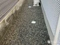犬走りの水はけを向上させ雑草も防いだローメンテナンス化工事