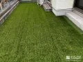 緑鮮やかな人工芝で明るく心地よく整えた主庭のリフォーム工事