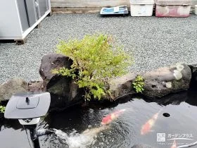 雑草対策として砂利を敷設したお庭[施工後]