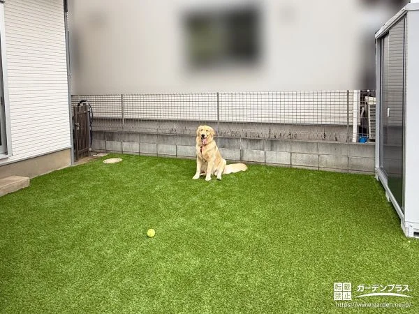 人工芝でワンちゃんが遊ぶのに気持ちが良いスペースをつくった工事
