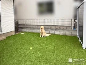 人工芝でワンちゃんが遊ぶのに気持ちが良いスペースをつくった工事
