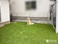 人工芝でワンちゃんが遊ぶのに気持ちが良いスペースをつくった工事