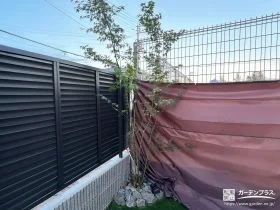 お庭を彩るイロハモミジ[施工後]