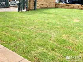 緑鮮やかな天然芝のお庭[施工後]