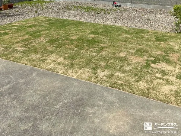 四季折々にかわる天然芝の表情を楽しめるお庭リフォーム工事