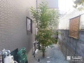 将来の美しさをキープする、徹底したローメンテナンス設計[施工後]