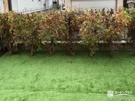 緑豊かな景観を楽しめローメンテナンス化も叶えるお庭の工事