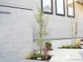 門柱横の植栽
