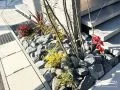 植栽が美しく植えられたロックガーデン