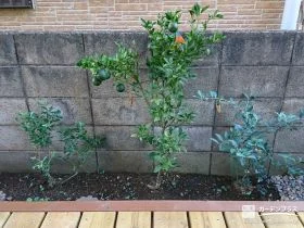 数種類の植栽と防犯砂利で整えたお庭周りのリフォーム工事