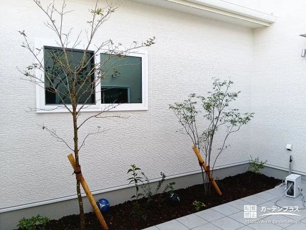 バークチップで、手入れの負担を軽やかにする植栽スペース