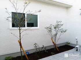 バークチップで、手入れの負担を軽やかにする植栽スペース[施工後]